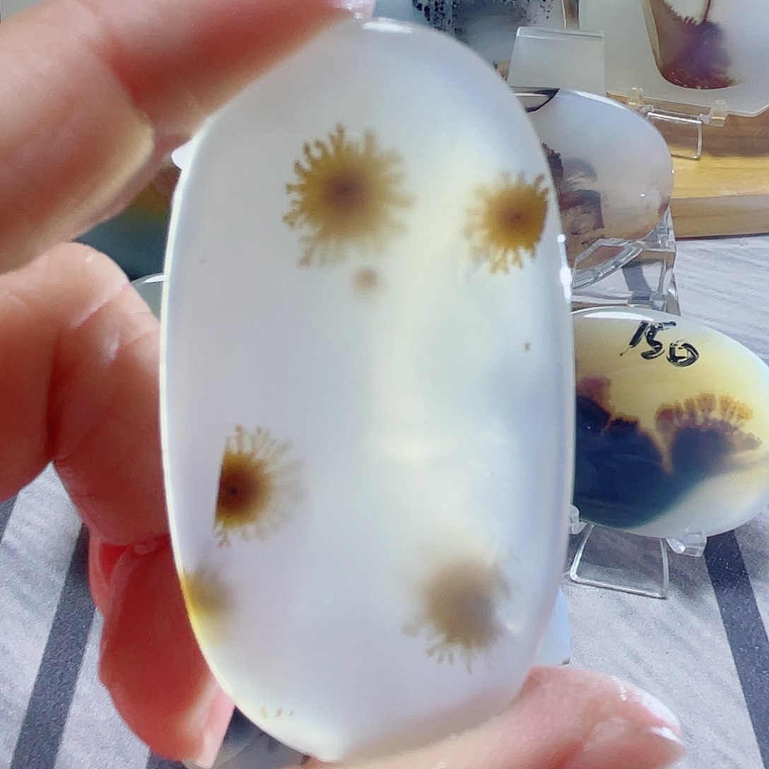 玛瑙/玉髓颈饰合金