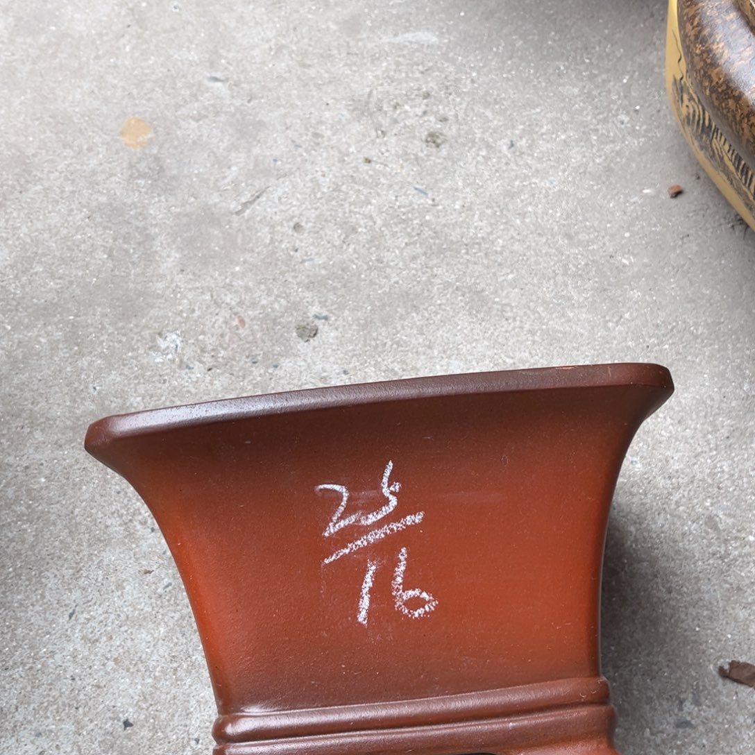 紫砂花盆盆景艺术