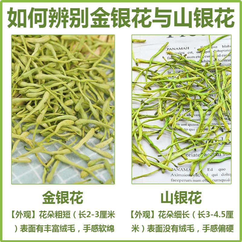 沂蒙山带绒毛天然无熏硫金银花头茬新货