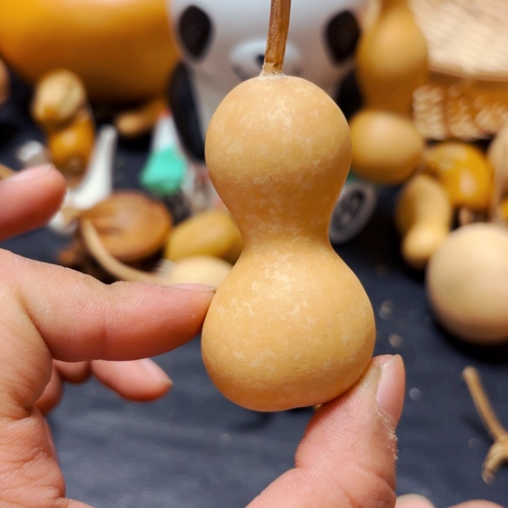 慧*8888888888888888888