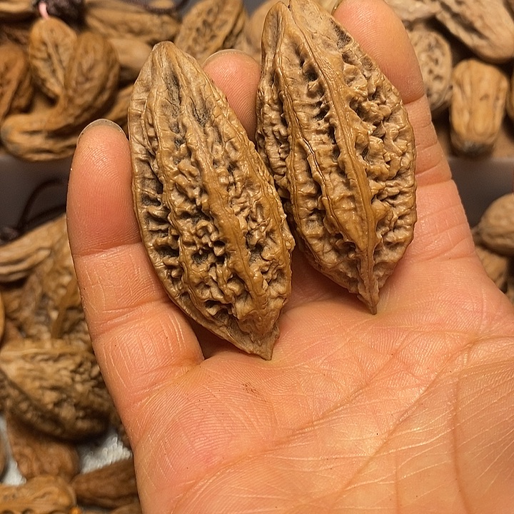 把件文玩核桃不错