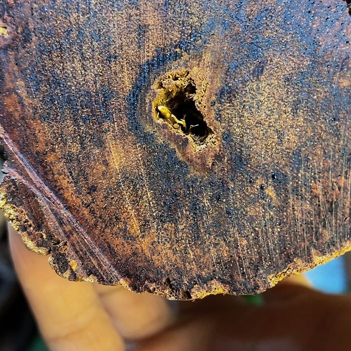 降真香手串手***心定制