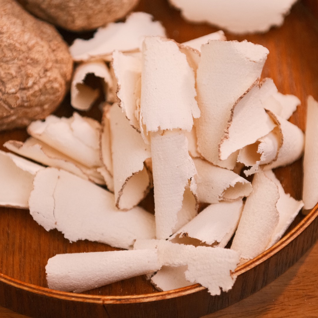 热带 虎乳菌 原粒（可帮切片）250g/500g