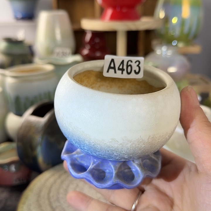 满28包邮，当天凑够口6高8