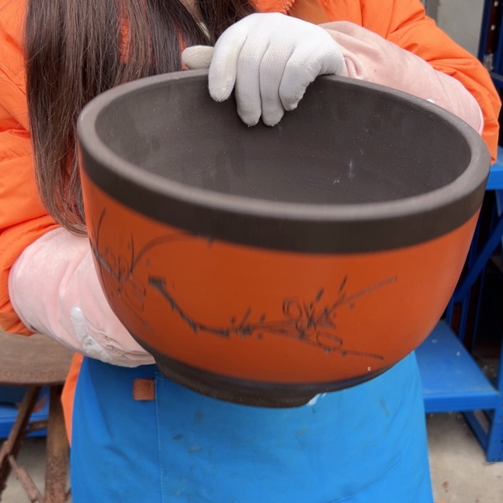 25红球盆花盆花盆花盆里