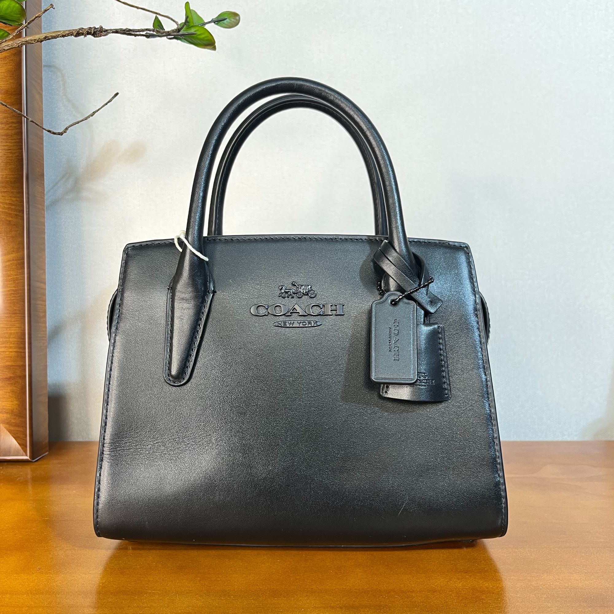 95新 COACH/蔻驰 单肩包/22*11*16/A266