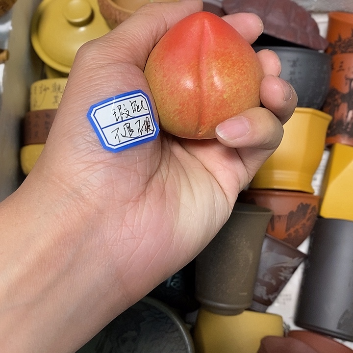 瑕疵不退不换介意勿拍