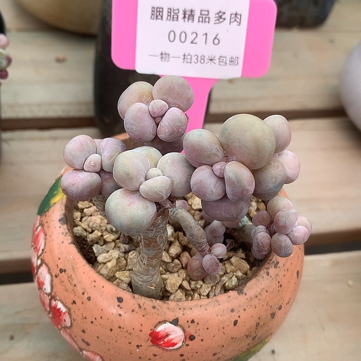 00216，哦铁路局吗咯咯