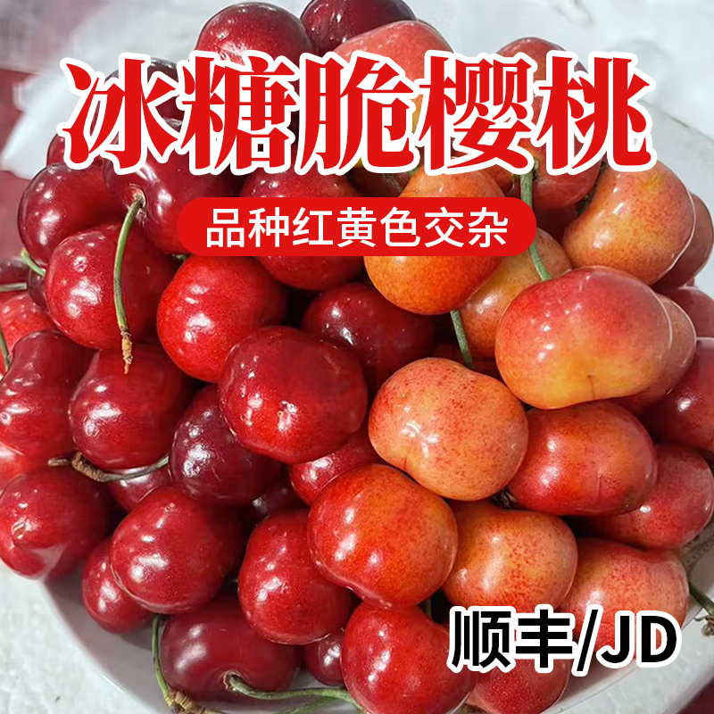 S1【京东/顺丰】山东冰糖脆樱桃 新鲜采摘黄/红樱桃随机发坏果包赔