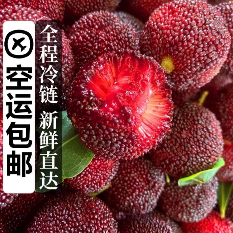 【东魁果王】空运冷链正宗漳州东魁杨梅九甜一酸新鲜当季水果盒装V