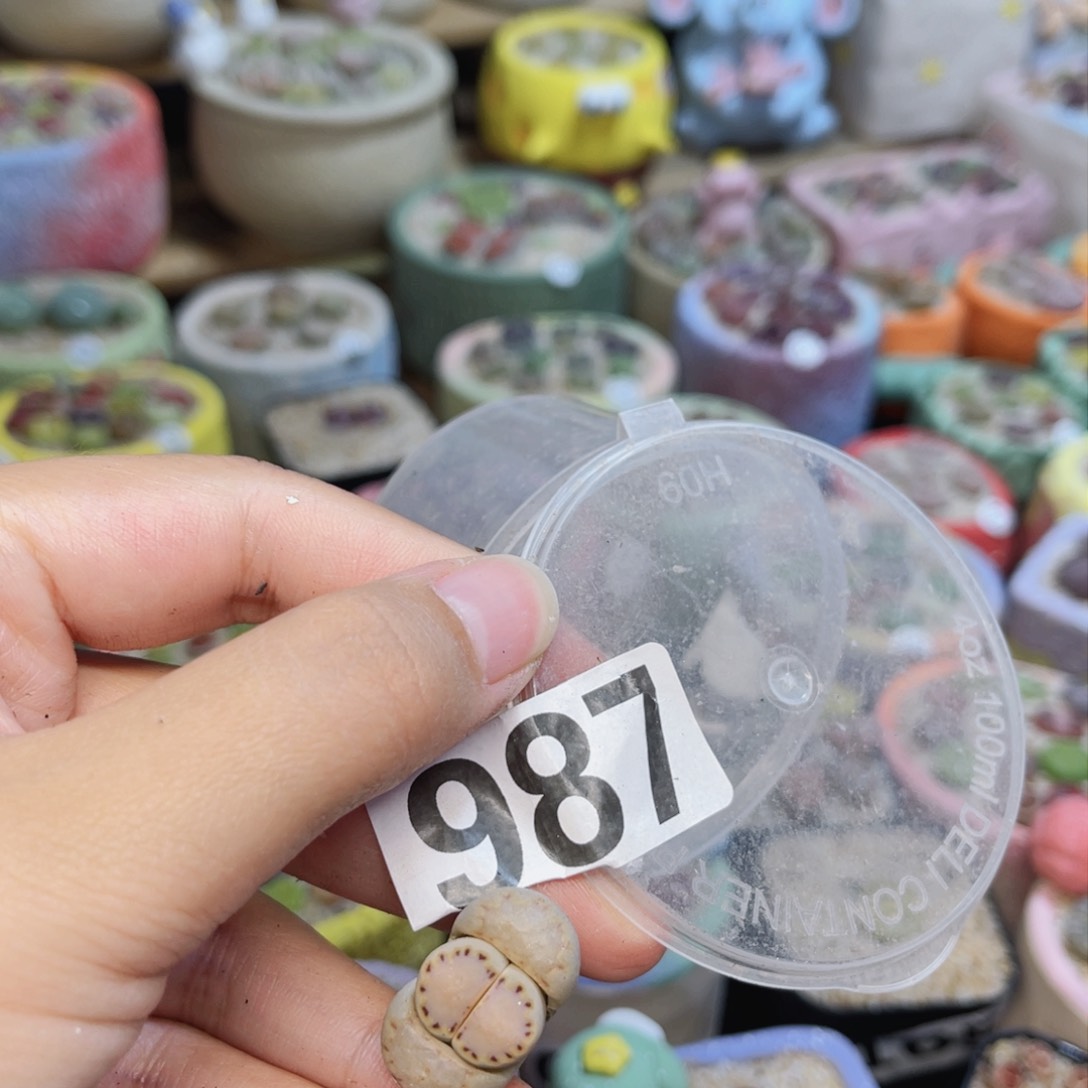 987。8888888888888888