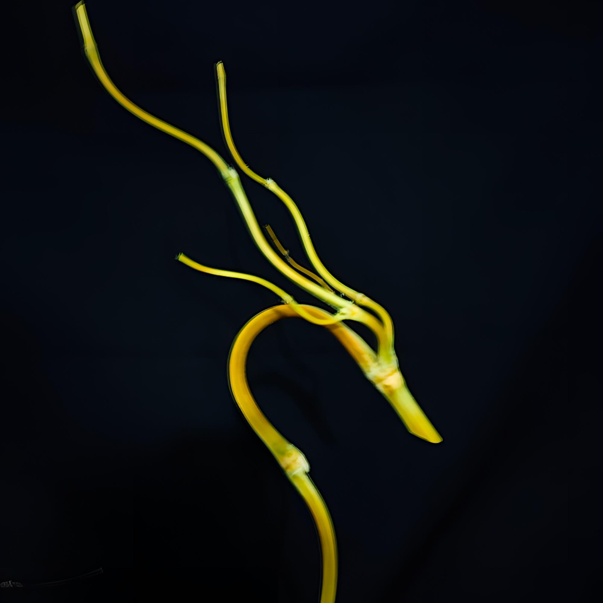 手工文玩倒流香八宝摆件极品葫芦葫芦葫芦竹子福禄松塔香龙头