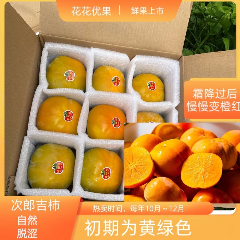 云南保山甜脆柿子新鲜自然成熟甜脆柿孕妇水果柿中爱马仕次郎柿