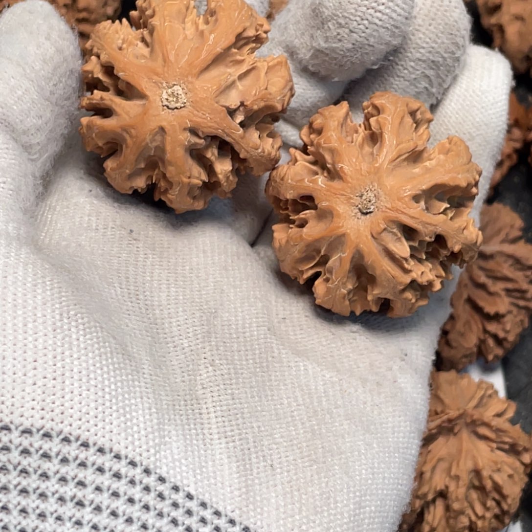 桃核把件2 秦岭灯笼野生小众