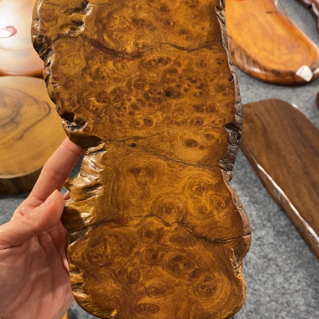 x***g缅花树瘤随形干泡