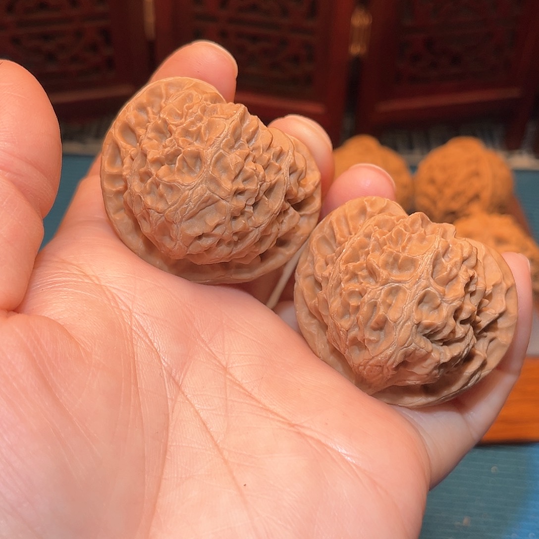 41全品邢台老树宫灯……福利