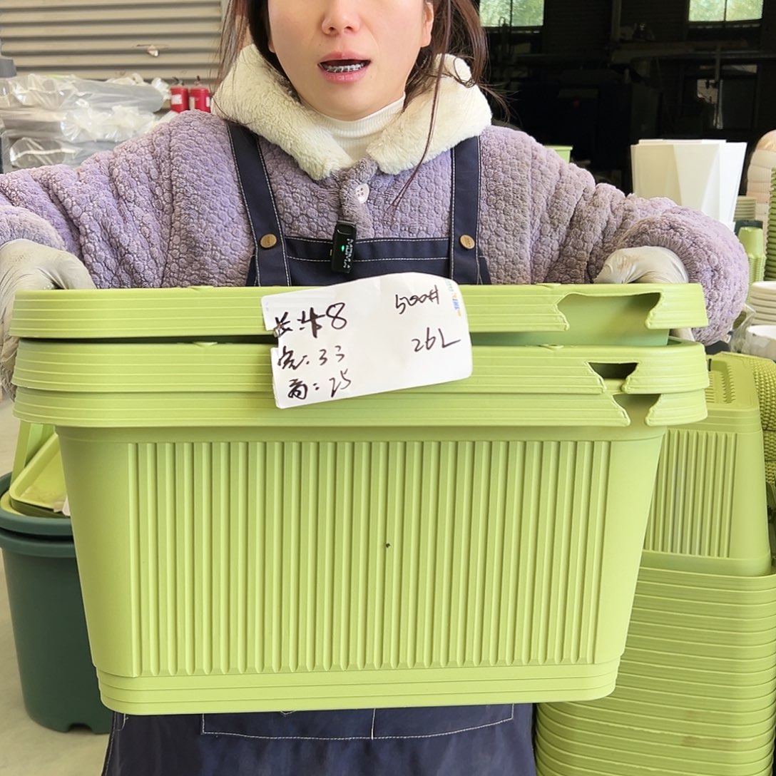 瑕疵菜盆500#果绿3个无托