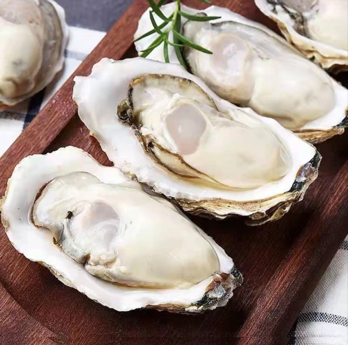 正宗东港大生蚝  原产地直发顺丰包邮