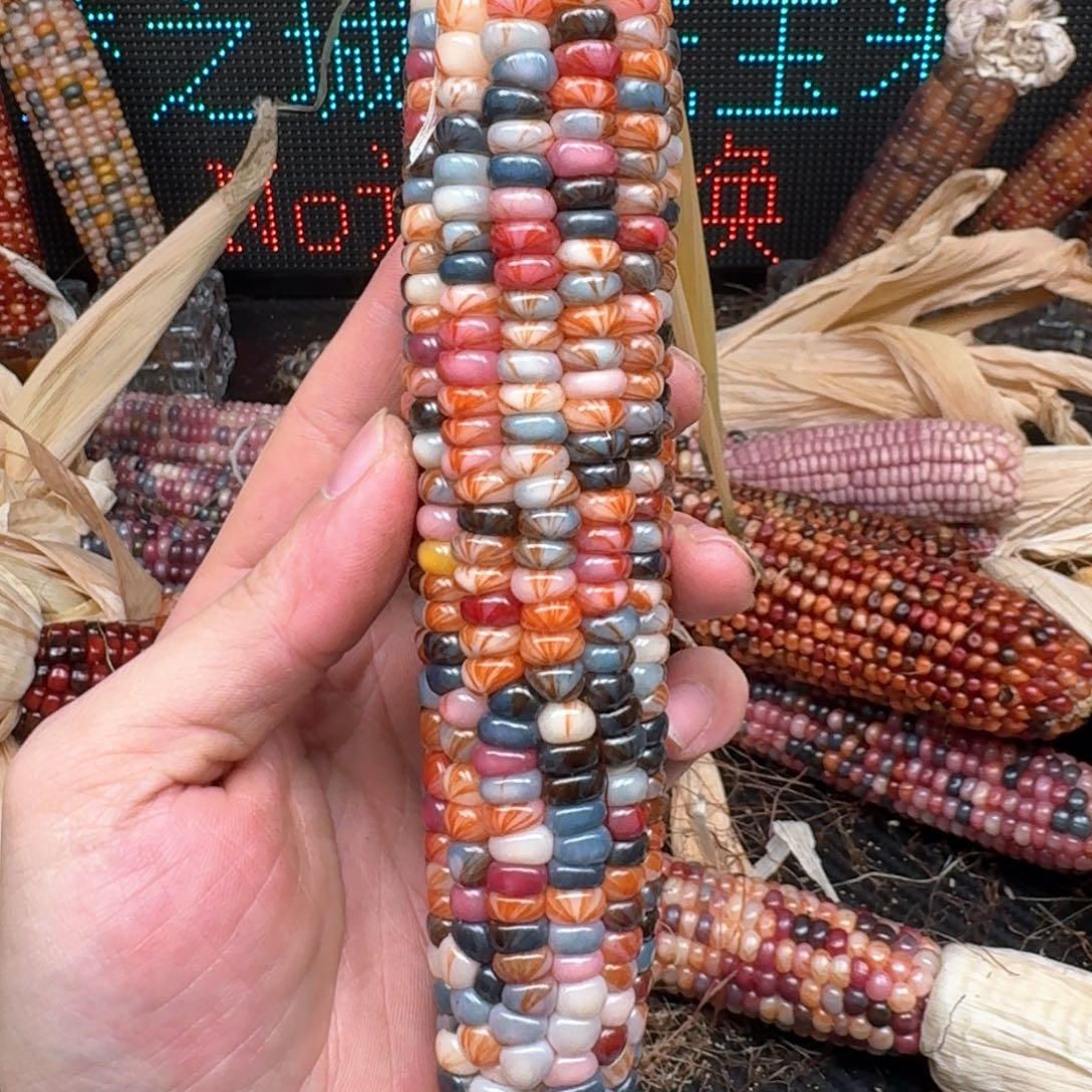 柏香籽/百香籽吊坠幽*