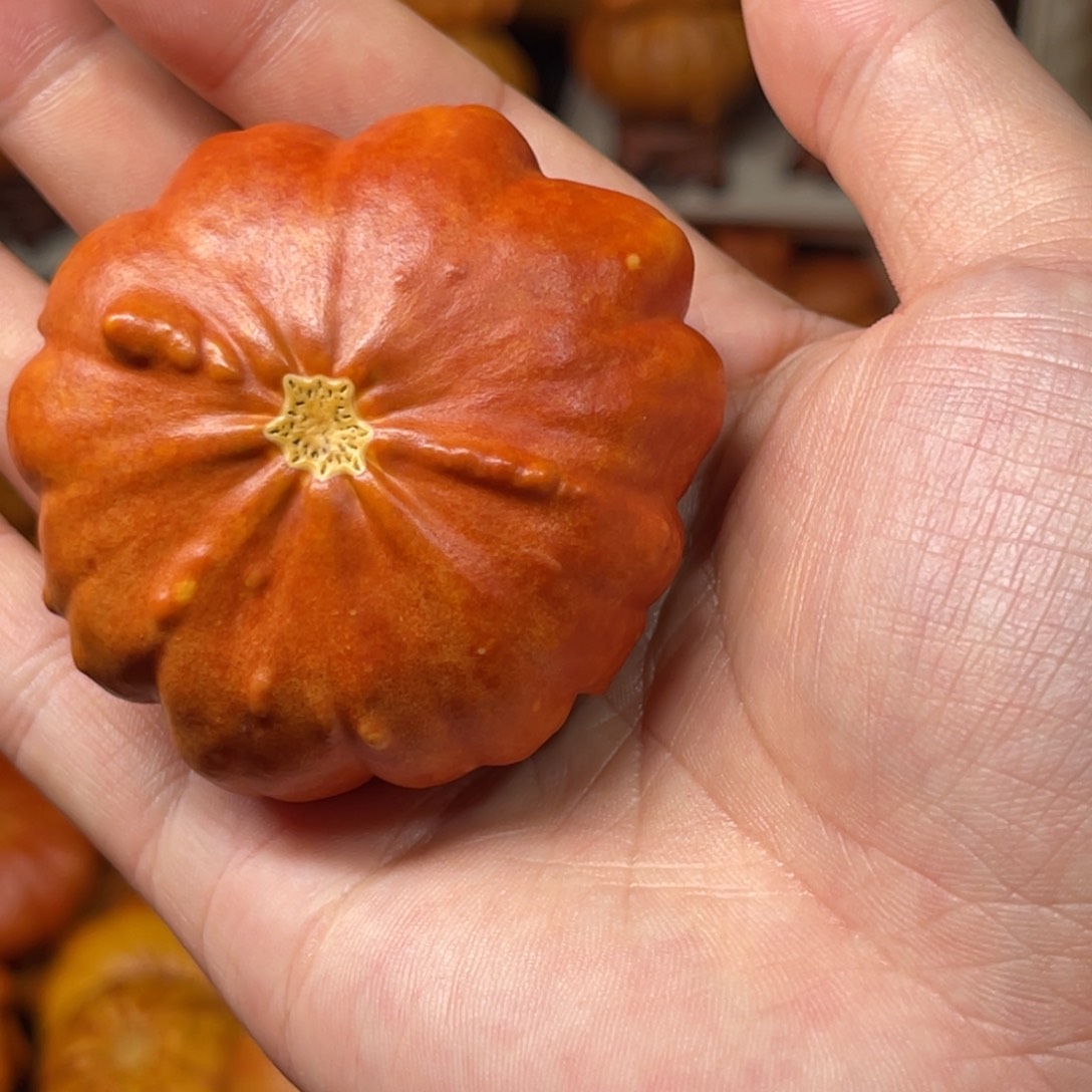 一*茶葫芦葫芦葫芦葫芦葫芦