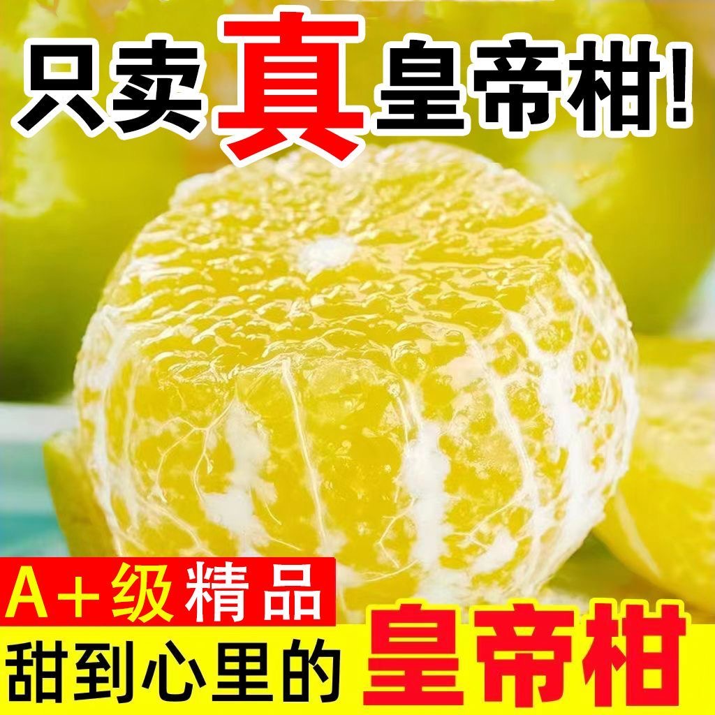 AA正宗广西爆甜皇帝柑新鲜水果桔子柑橘当季贡柑大果薄皮黄帝柑