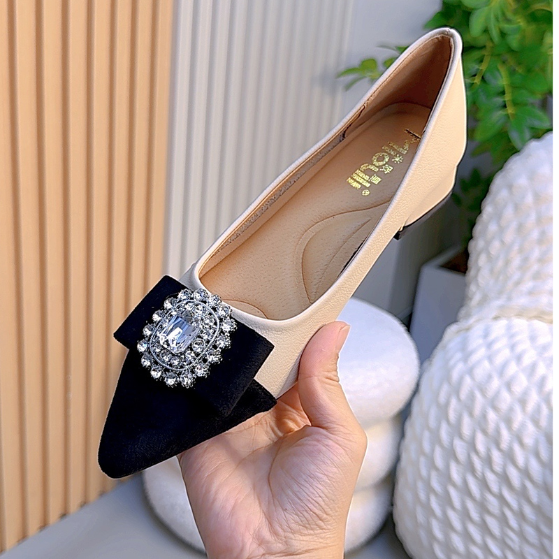 2024年秋季新款复古时尚百搭国风低跟鞋百搭尖头女单鞋