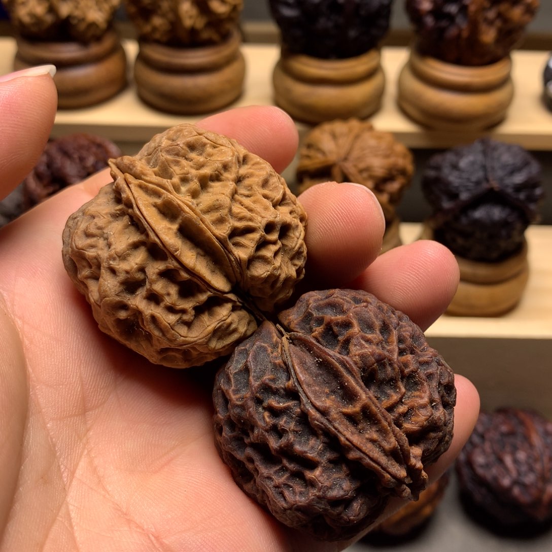 文玩核桃把件生命之源