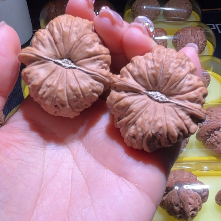 南瓜吨43全品 的南瓜