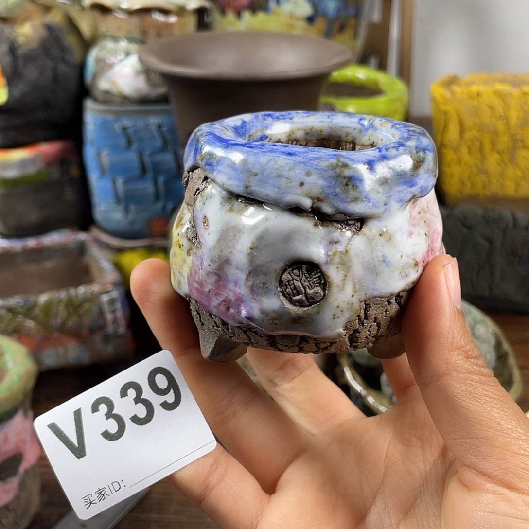 默认微次  限时福利 坛子姐花盆