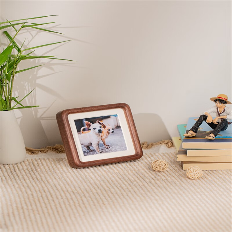 宠物相册 狗狗相册 299龙龙