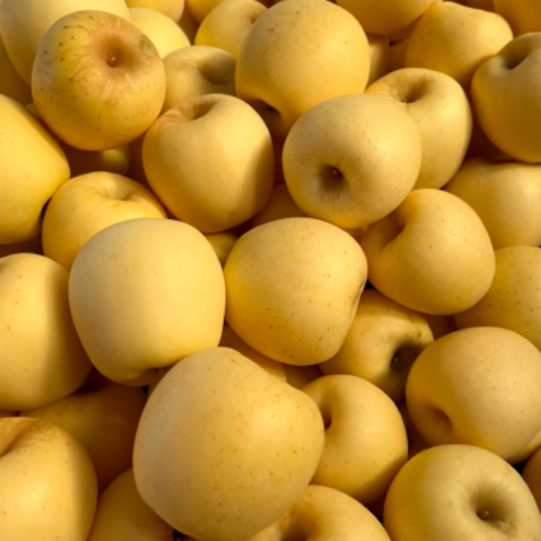 维纳斯苹果（花斑维纳斯）净果约3.5-4斤