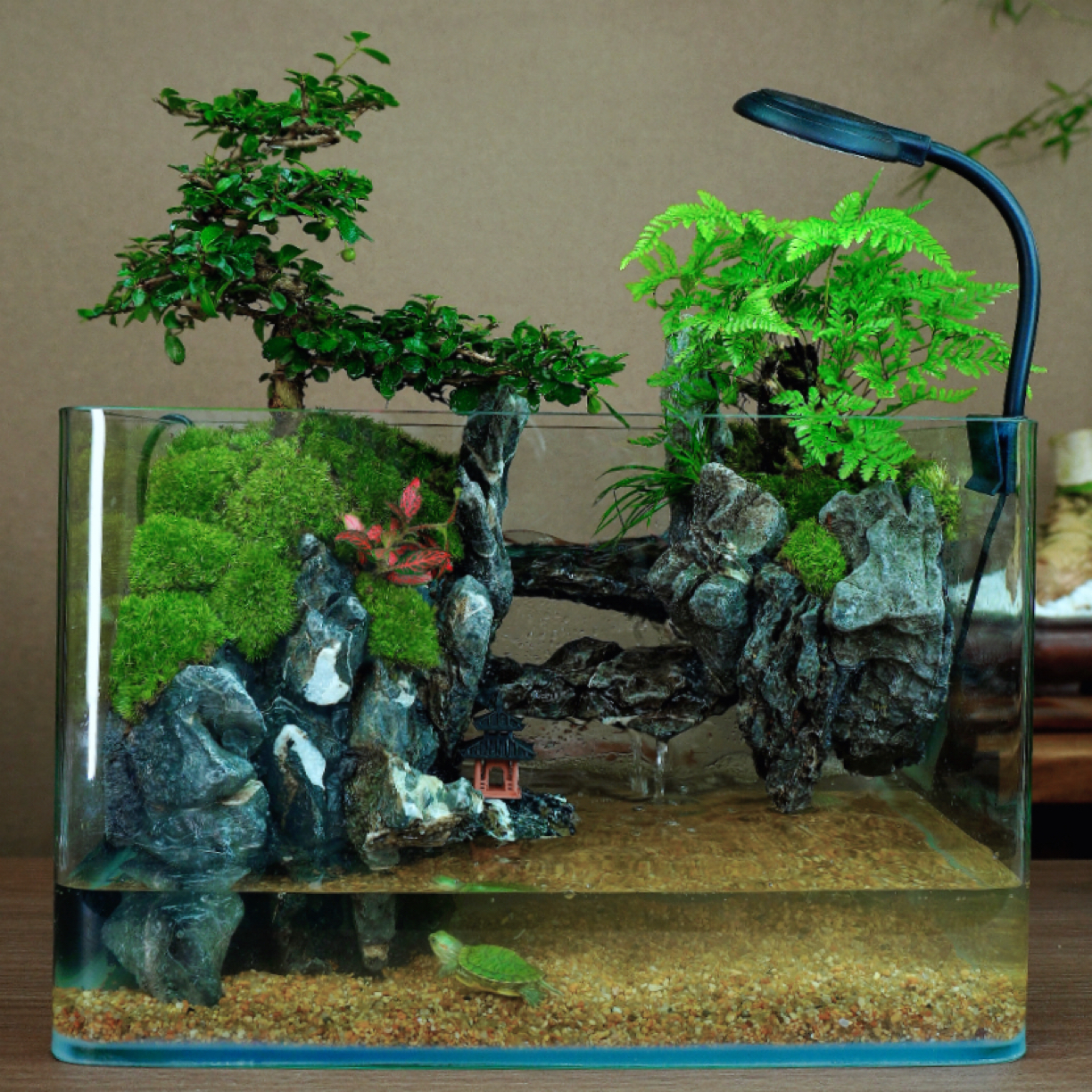 35长室内桌面方缸老桩福建茶流水景观真实绿植创意景观可养鱼