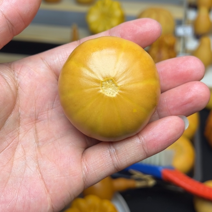 福利福利福利来啦