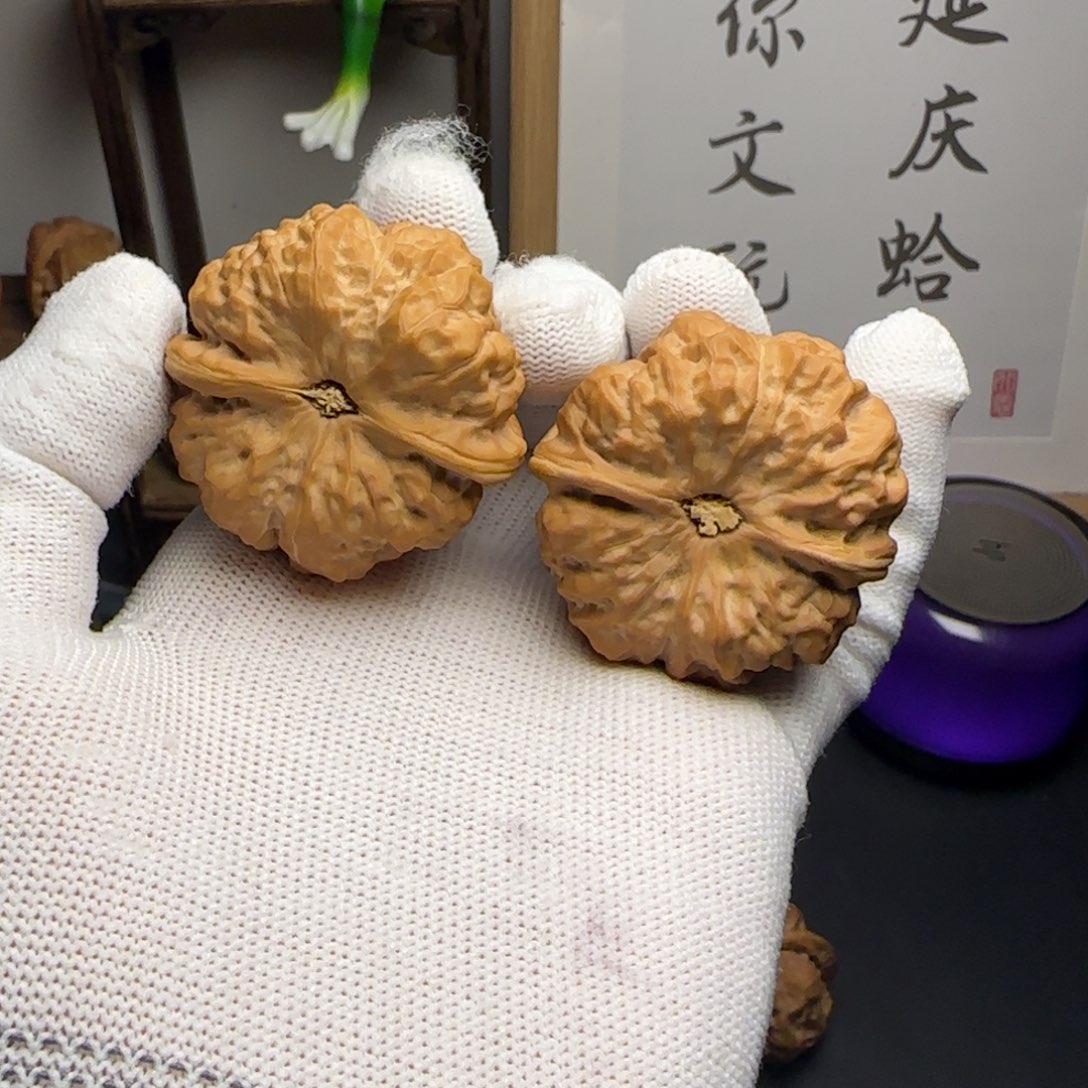 M***B46✖️47尺红皮蛤蟆