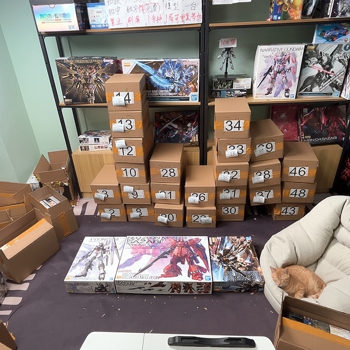 小***7模型随机模型随机