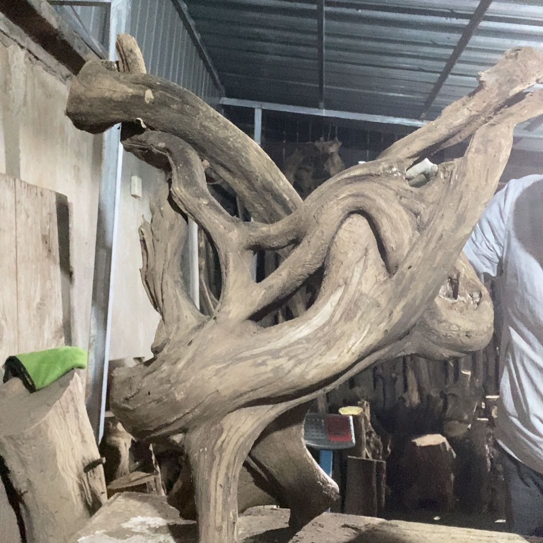 陈**师太行的太行太行