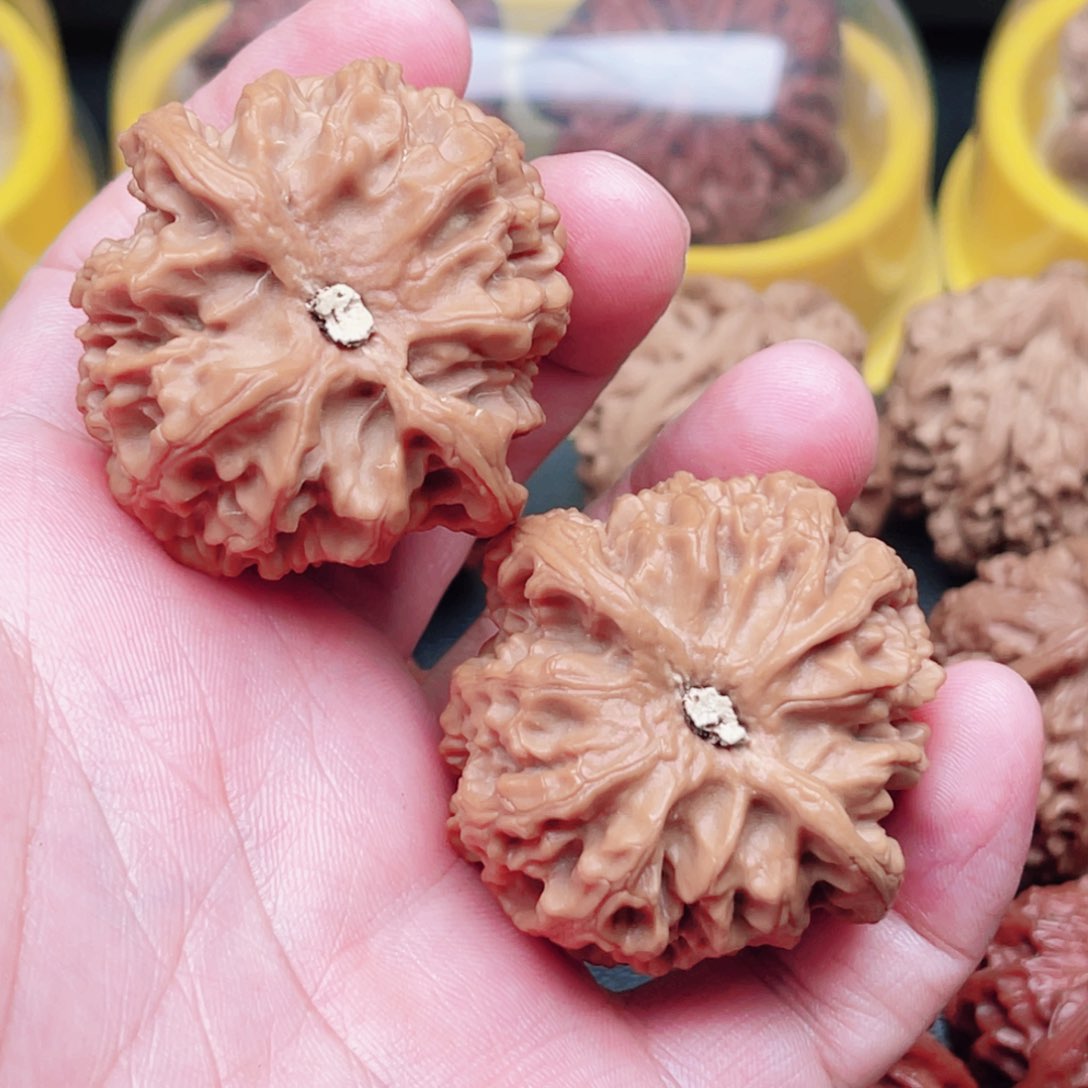 文玩核桃把件闲*苹果园43×42×35