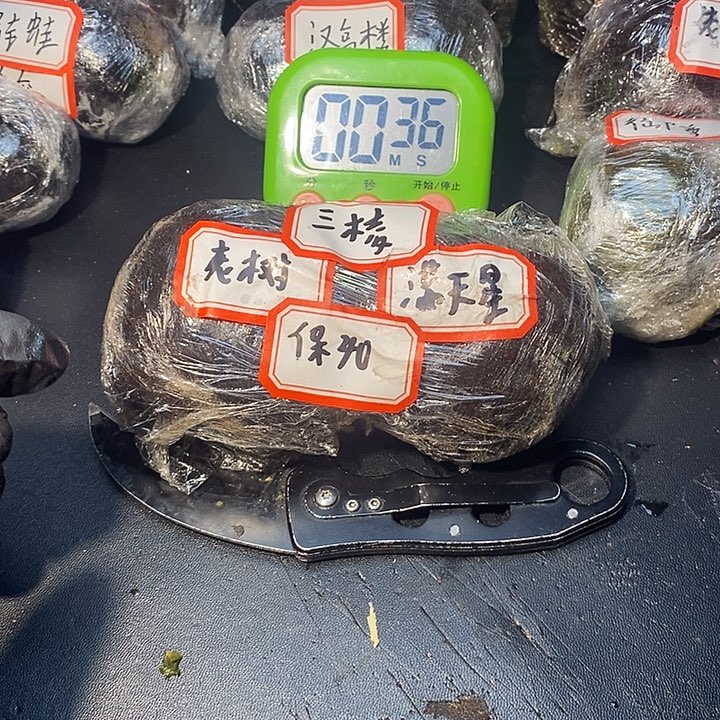 一***顺青皮文玩不退不换