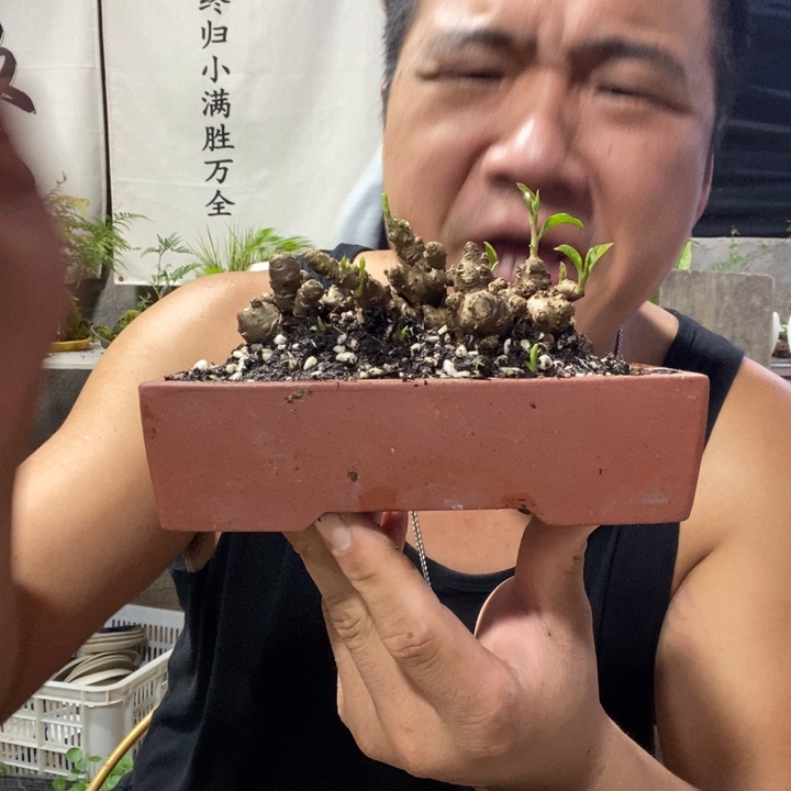 规***则无花朵退款拉黑拉黑169