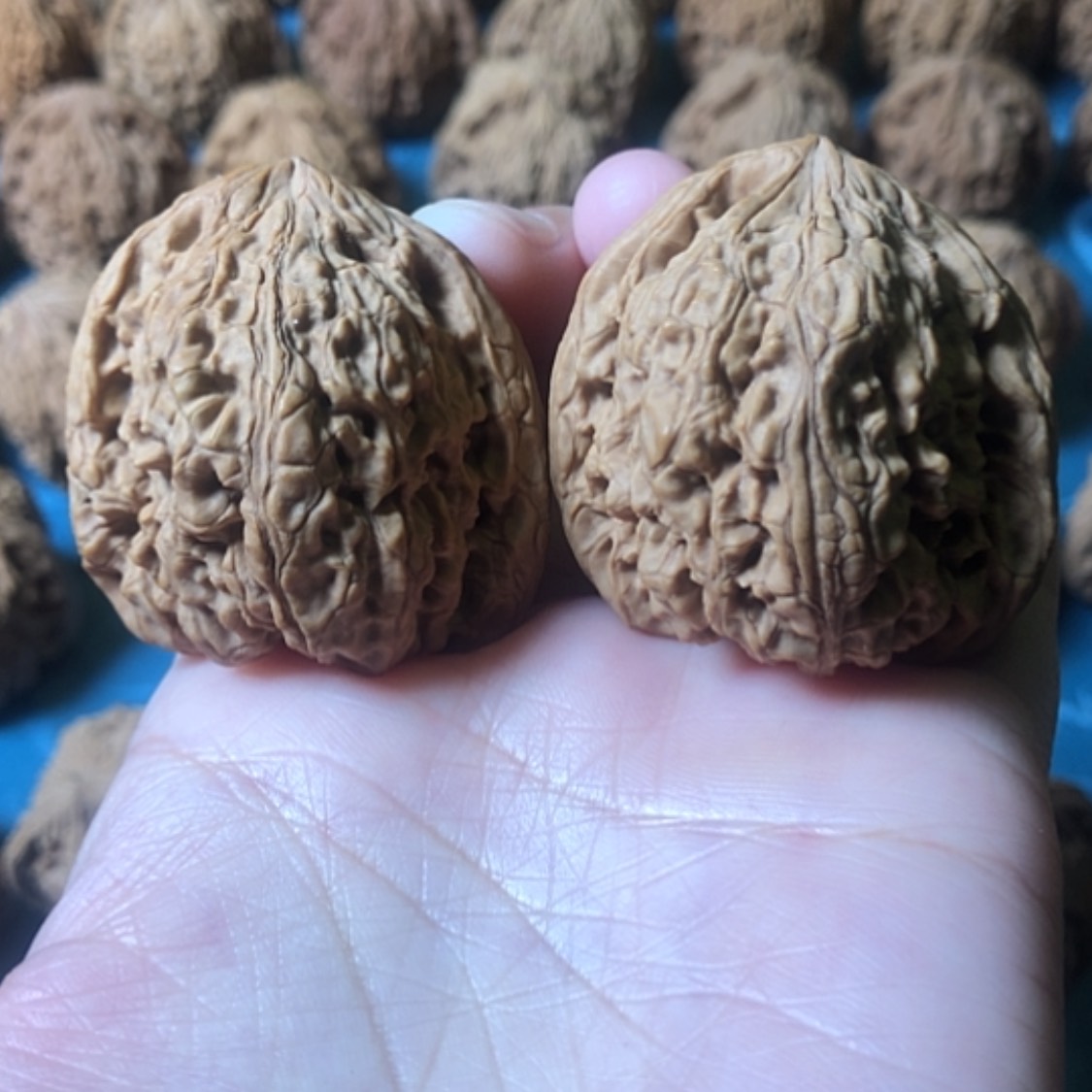 【闪购商品】文玩核桃把件一代将