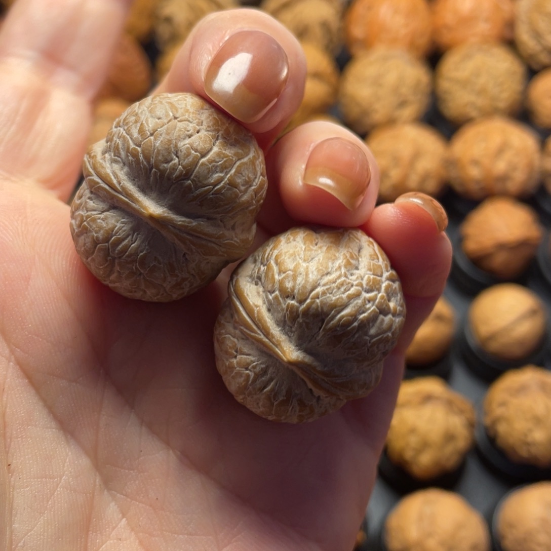 森****文玩核桃把件核桃