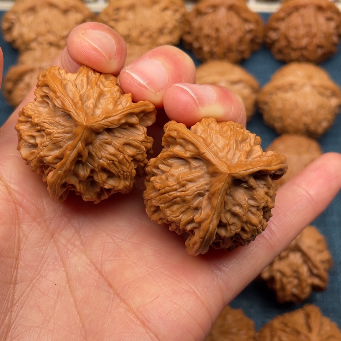 文玩核桃把件37正奔