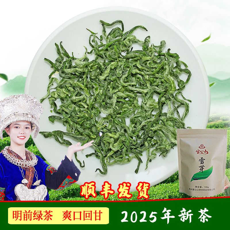 2025年雷公山雪芽茶100g贵州绿茶明前春茶