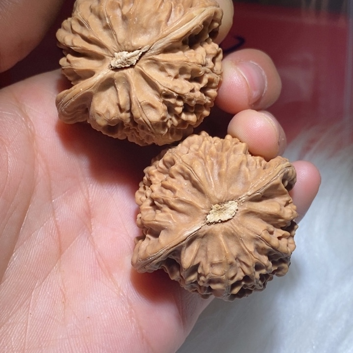 安***柠吊坠文玩核桃精品课程和专业的