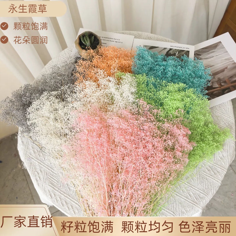 高级感永生花diy材料永生霞草百万星相框玻璃罩梦幻星大地农园DIY