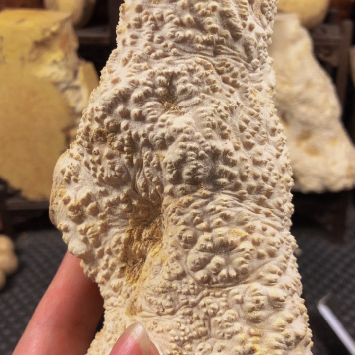 木?****同木料木料木料木料