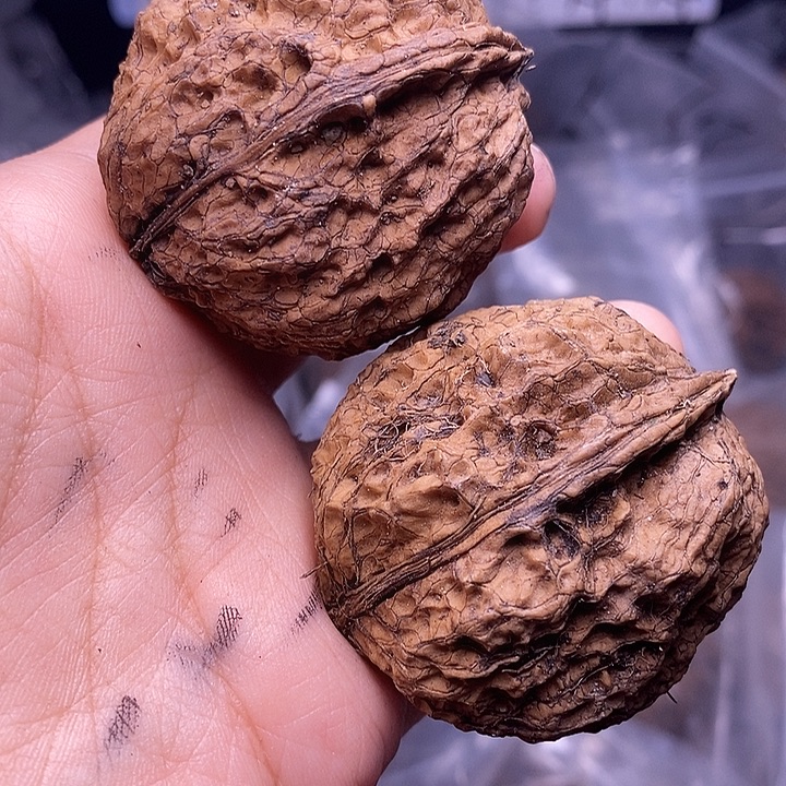 文玩核桃把件    195