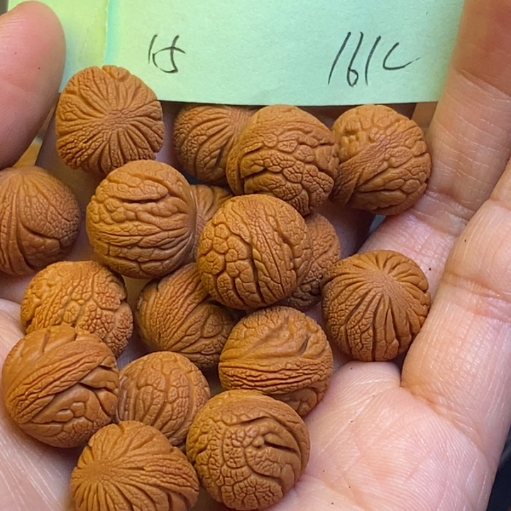 吊坠桃核秦岭龙纹桃核15