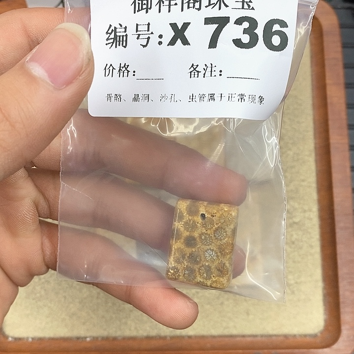 硅化珊瑚（珊瑚玉）颈饰未镶嵌盏*