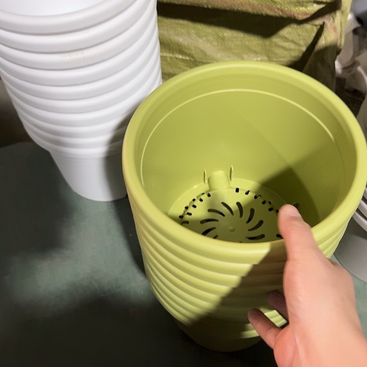 微瑕3#果绿10个无托